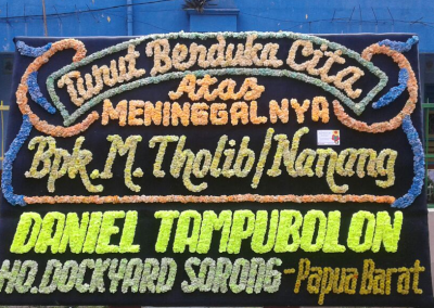 Bunga papan Lampung